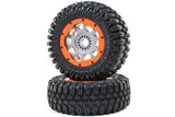 DBXL-E 2.0 - RTR BUGGY 1:5 - ARANCIONE "FOX"