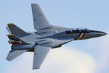 F14 TOMCAT TWIN - 762mm BNF STABILIZZATO