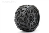 EXTREME KING COBRA LP BELTED - PER TRX MAXX INCOLLATE SU CERCHIO 3,8"- 2 PEZZI