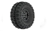 SET PNEUMATICI PRE-MONTATI TRENCHER F/R - PRO1020910