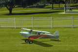 SOFTWARE SIMULATORE DI VOLO REALFLIGHT EVOLUTION - RFL2001